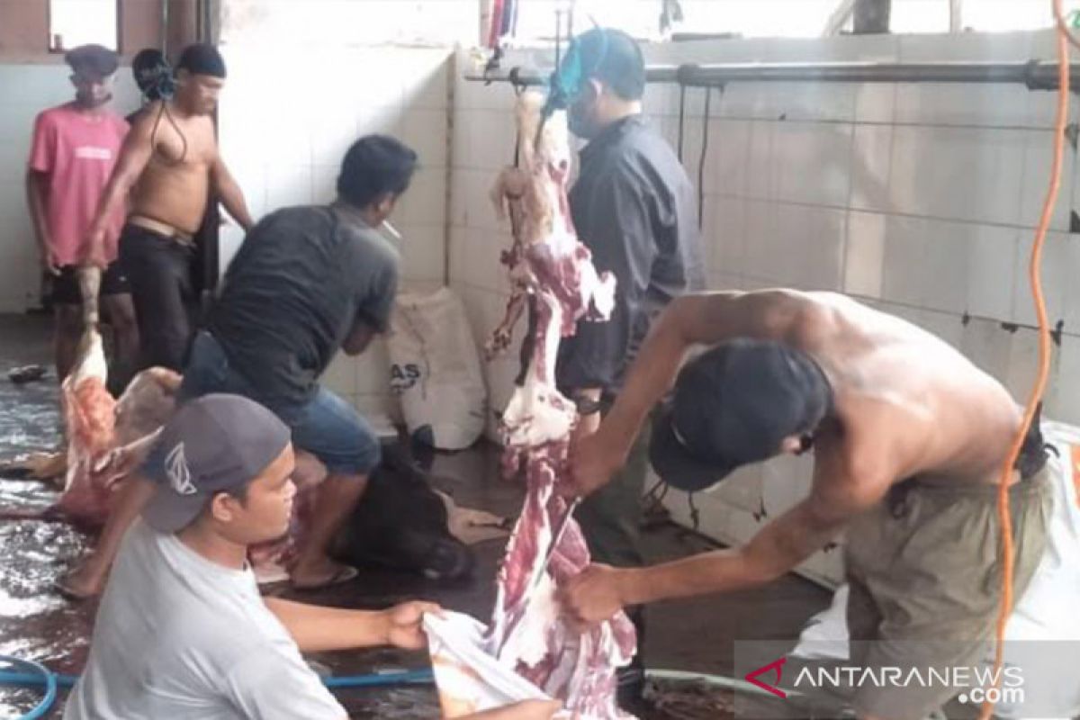 Permintaan pemotongan hewan kurban di RPH Kapuas menurun