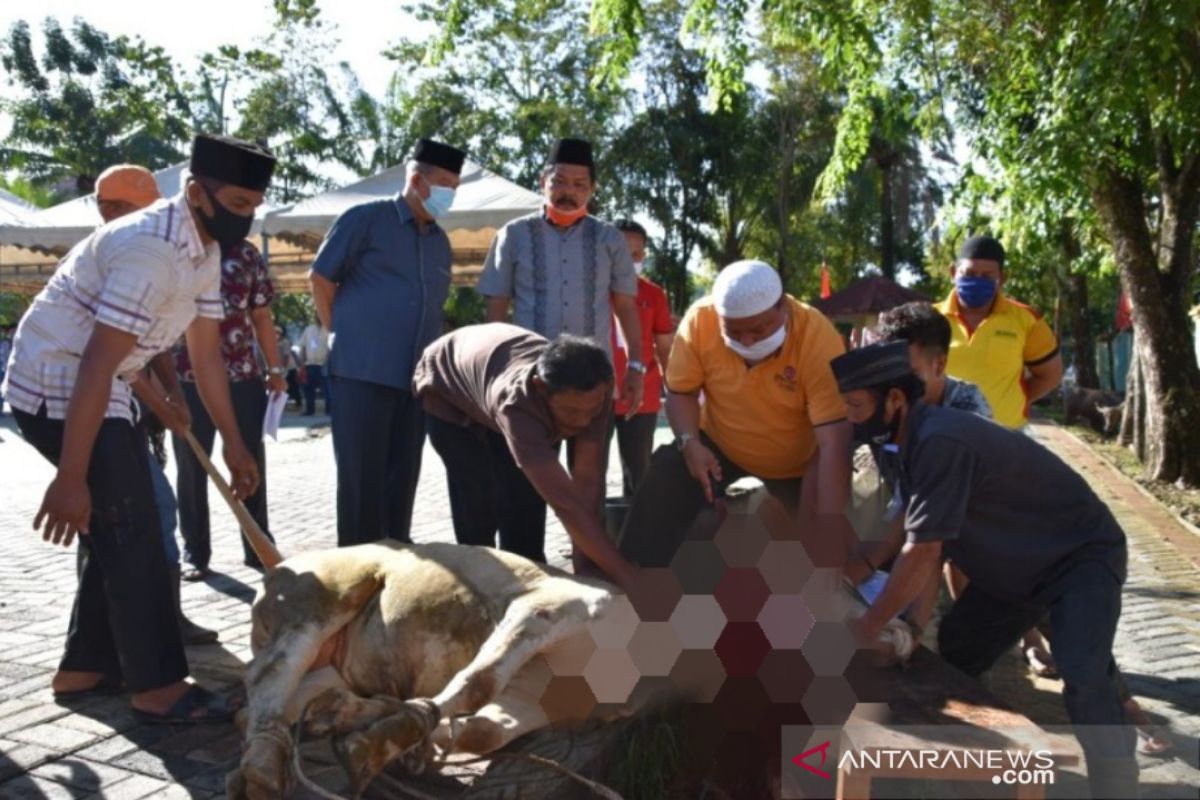 Pemkot Sibolga sembelih 20 hewan kurban