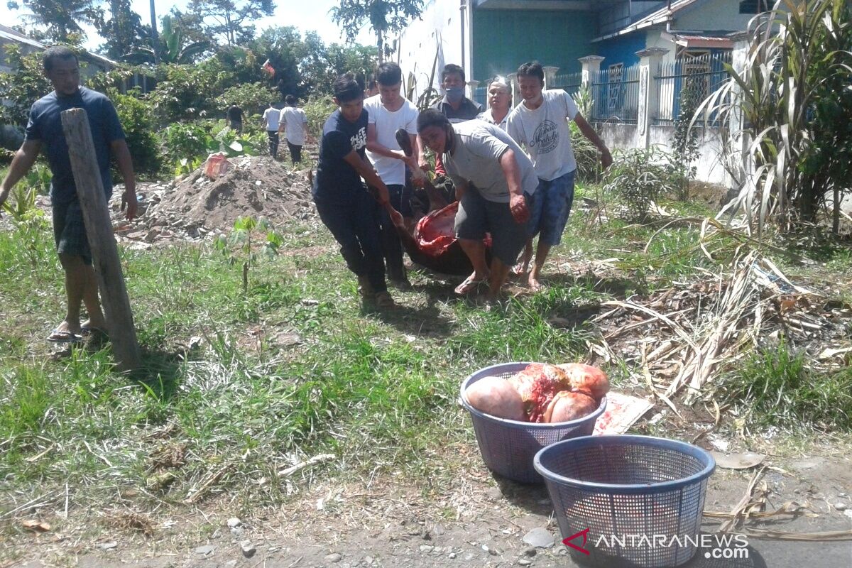 Warga Rejang Lebong sembelih 1.959 hewan kurban