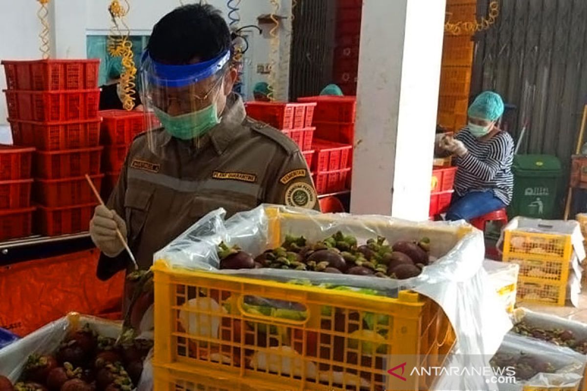 Sumbar kembali ekspor manggis setelah sempat terhenti akibat COVID-19