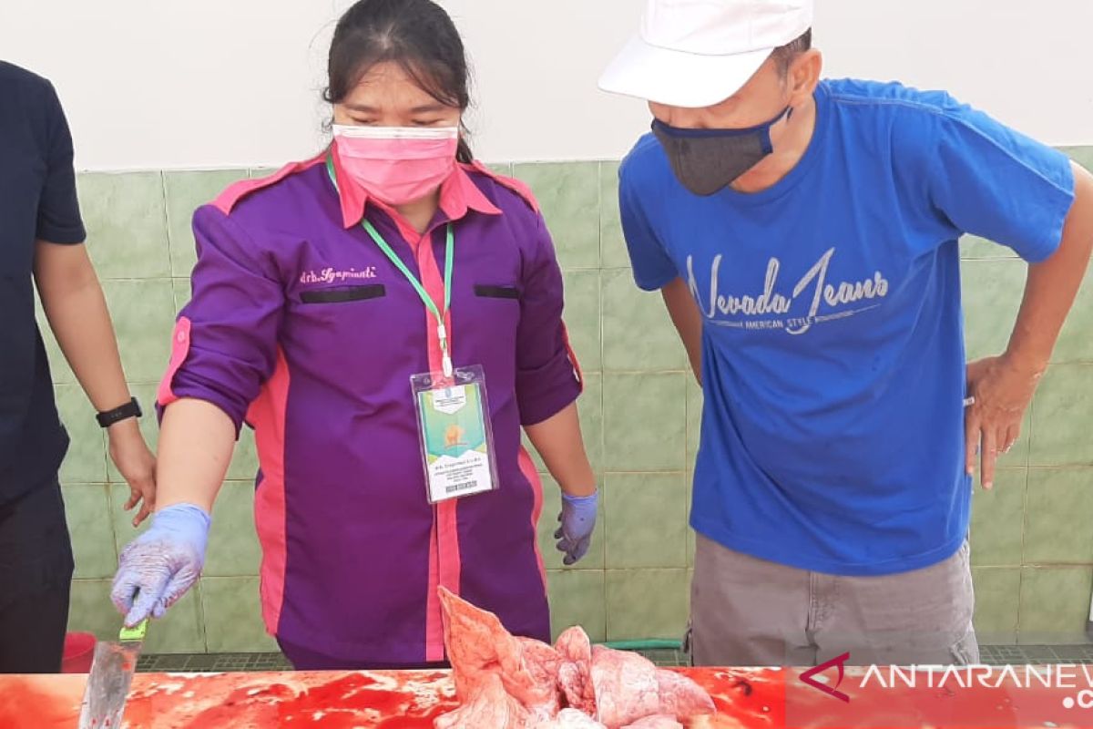 Bangka turunkan tim petugas pemeriksa daging hewan kurban