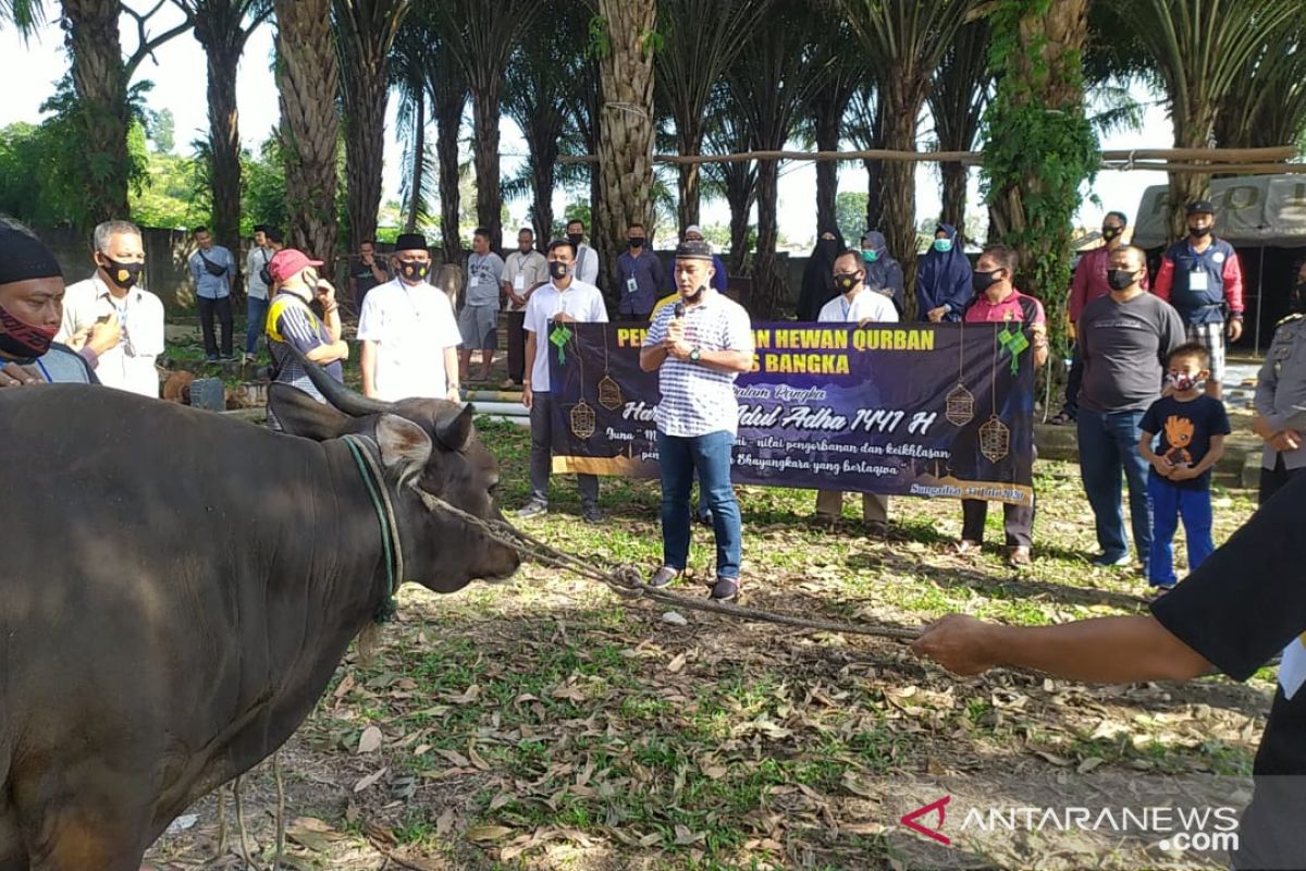 Polres Bangka bagikan 600 kupon daging kurban