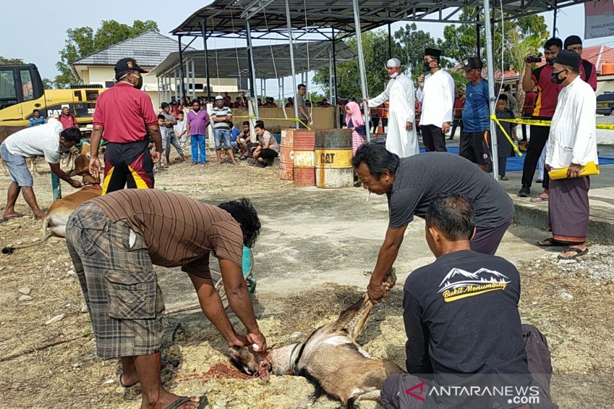 Polres Bangka Barat bagikan 731 paket daging kurban kepada warga