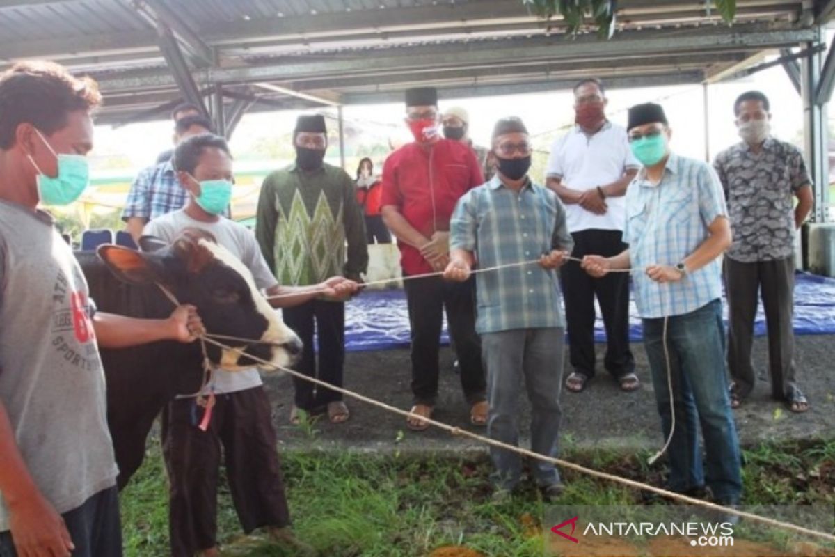 Pemkab Bangka Barat salurkan 850 paket daging kurban