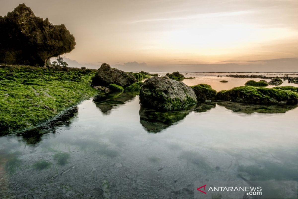 G-Land yang penuh pesona di ujung selatan Banyuwangi, Jawa Timur