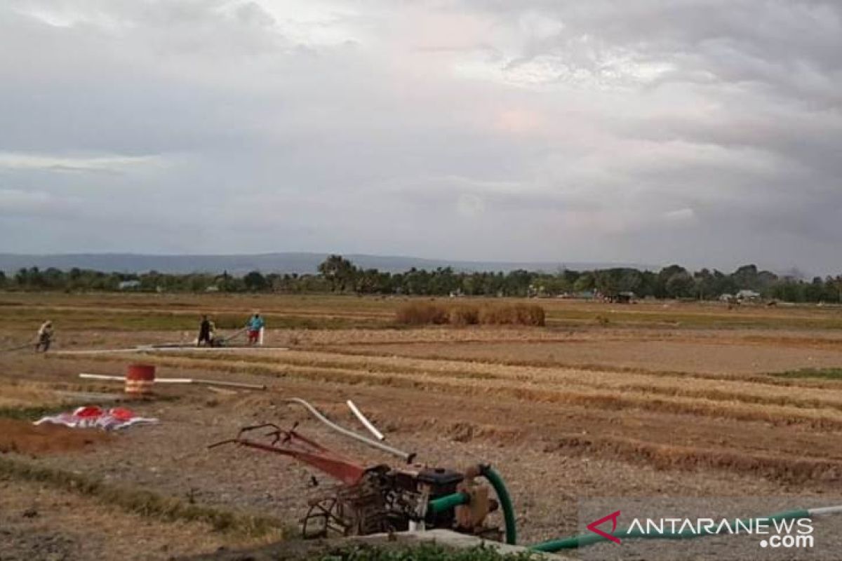 Semua zona musim di NTT kini dalam periode kemarau