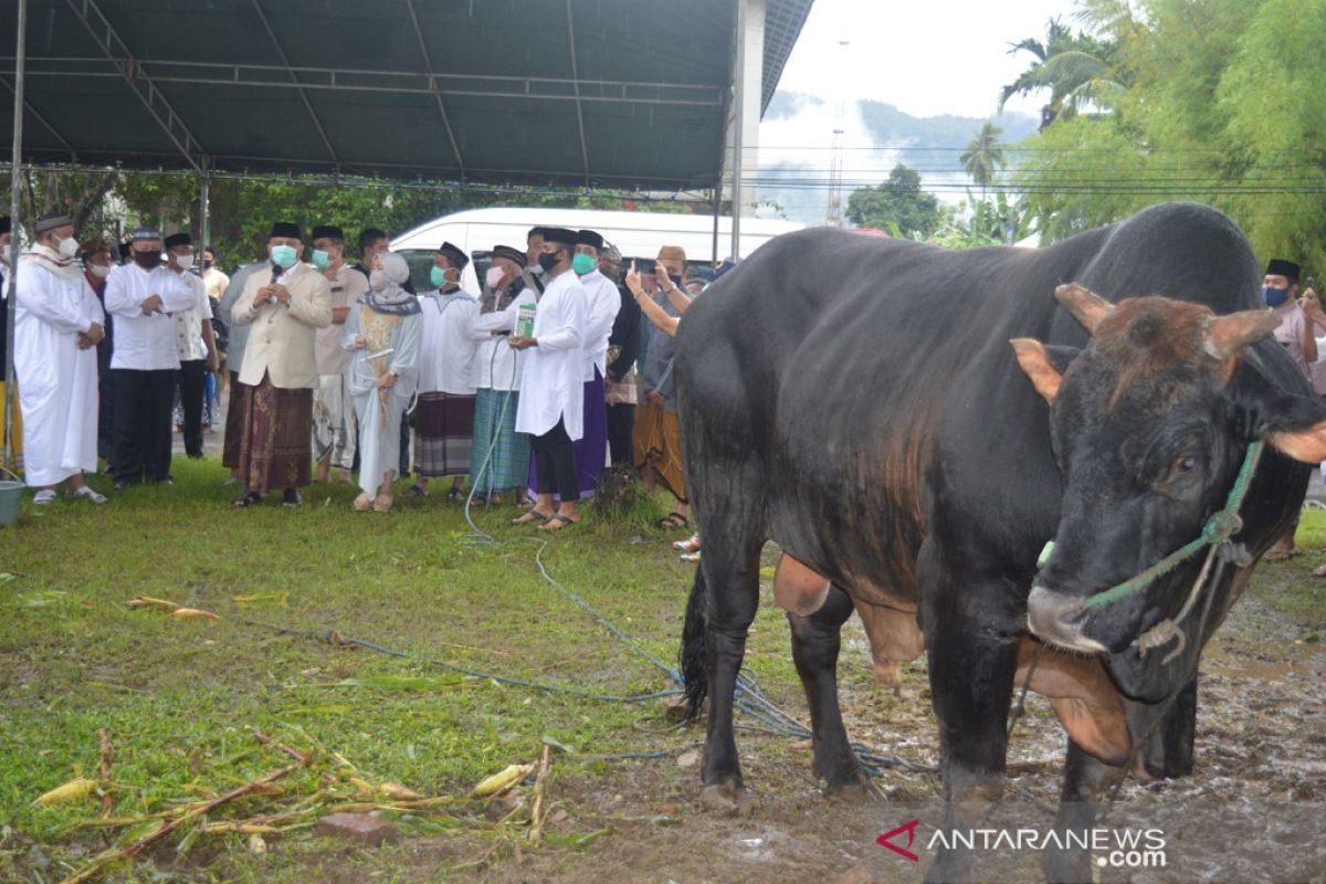 Wakil Bupati Bone Bolango mengapresiasi sapi kurban dari Presiden