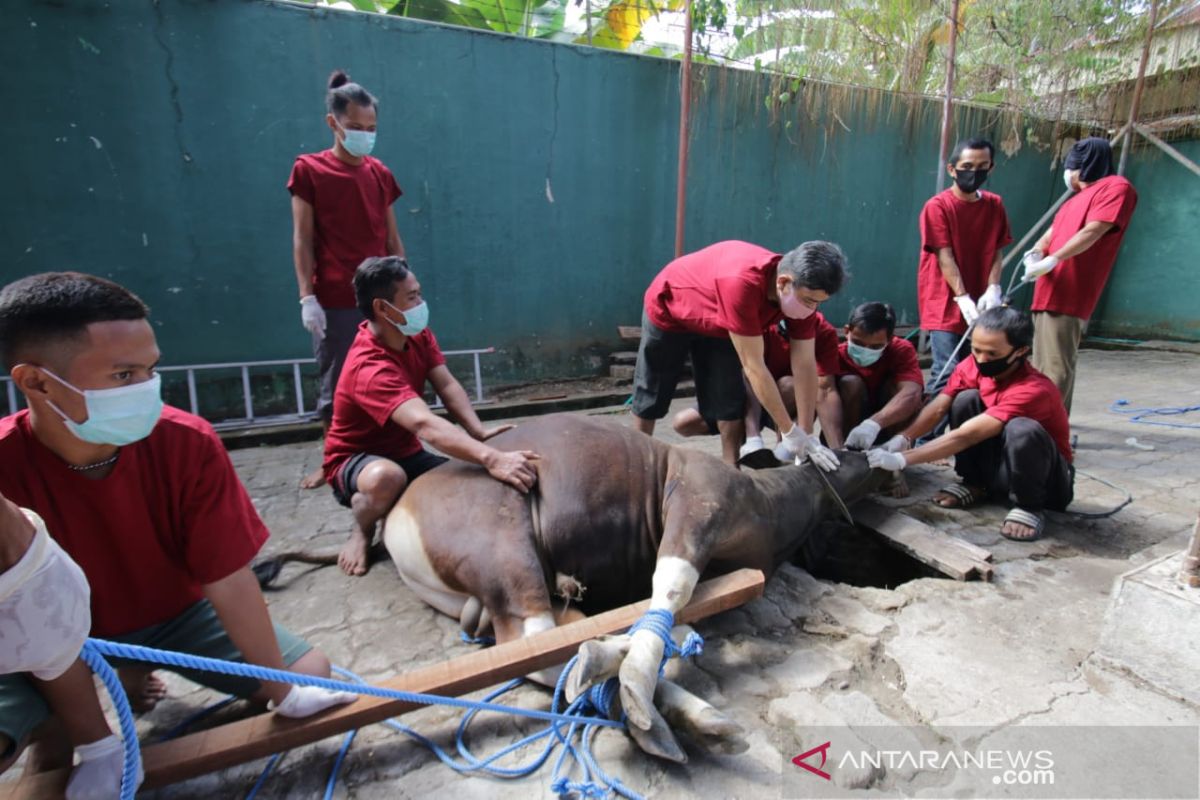 Pertamina bagikan hewan kurban di Sulut