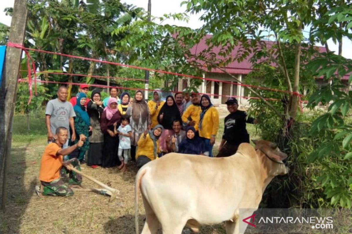 Ikatan Alumni SMA 17 Agustus Padang sembelih dua sapi kurban