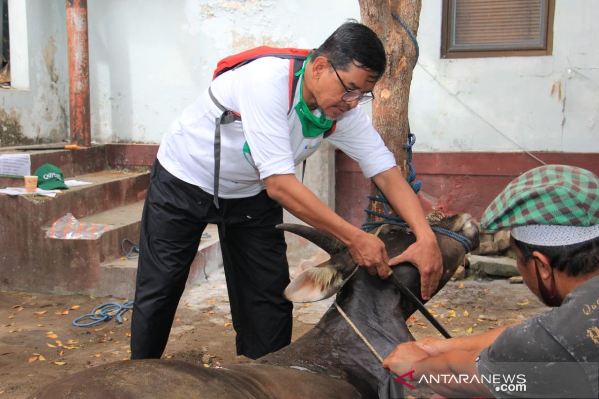 Bank NTB Syariah sebarkan 9.000 paket daging hewan kurban