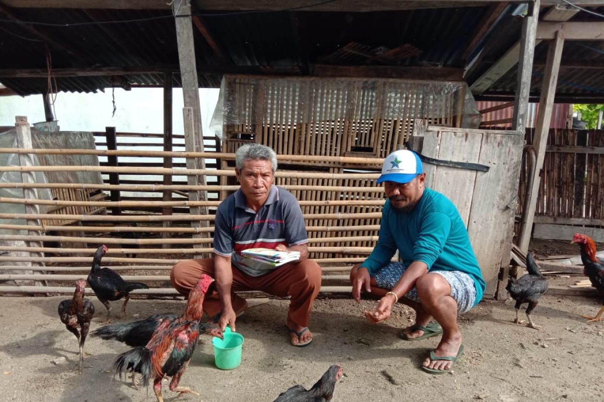 Pemprov Malut bagi-bagi buku panduan ternak ayam