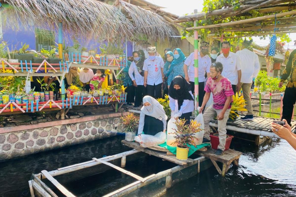 TP-PKK Banyuwangi dorong peningkatan ketahanan pangan di masa pandemi