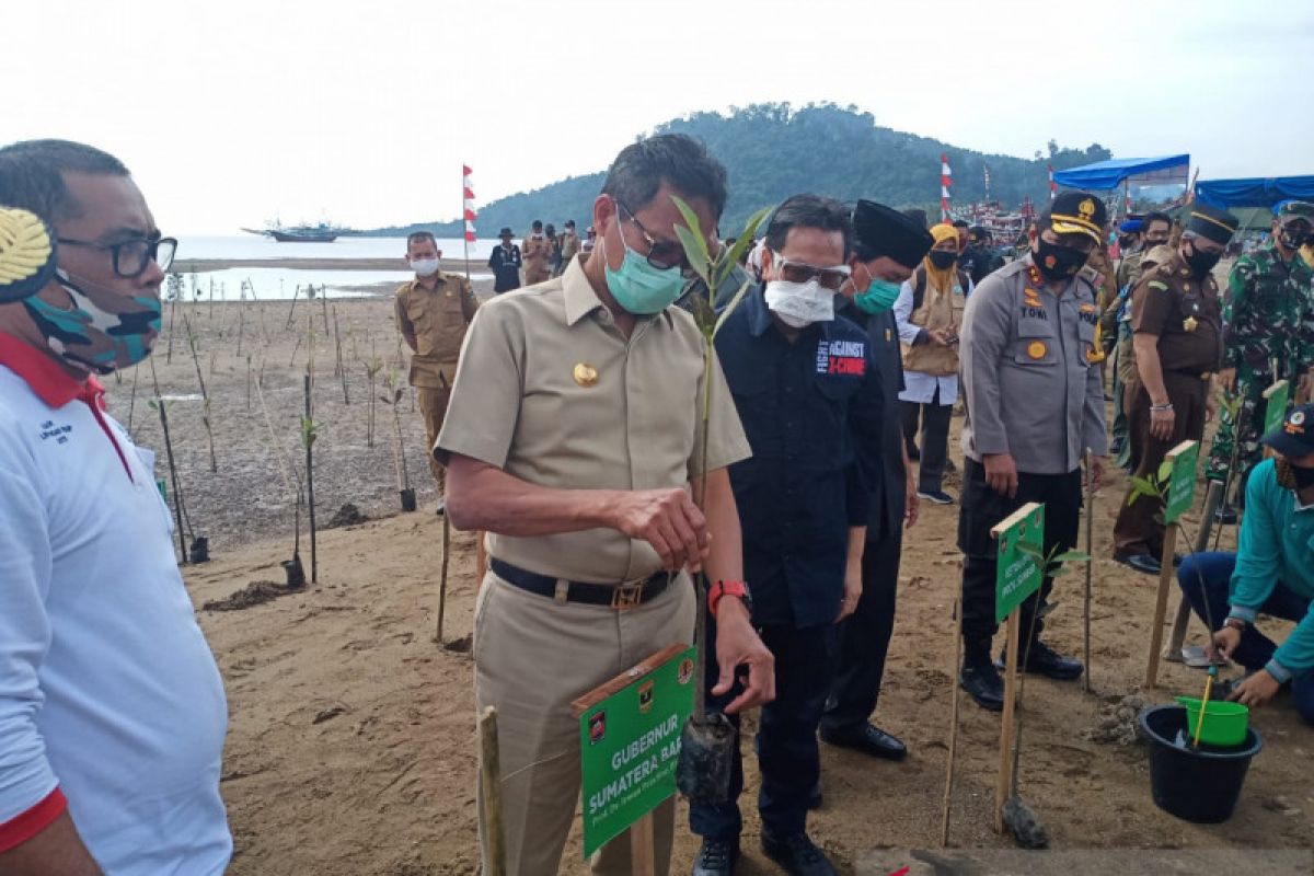 Jaga ekosistem laut, Gubernur Sumbar perlu gerakkan tanam mangrove