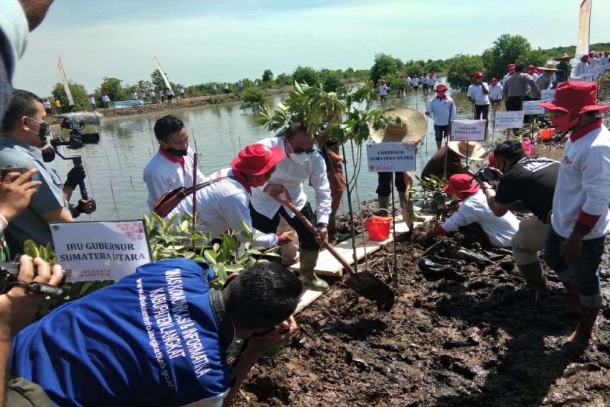 Kementerian LHK: Kerusakan hutan mangrove Indonesia sudah 19 persen