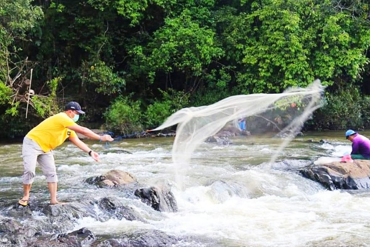 Migrasi ikan menjadi berkah masyarakat Lamandau