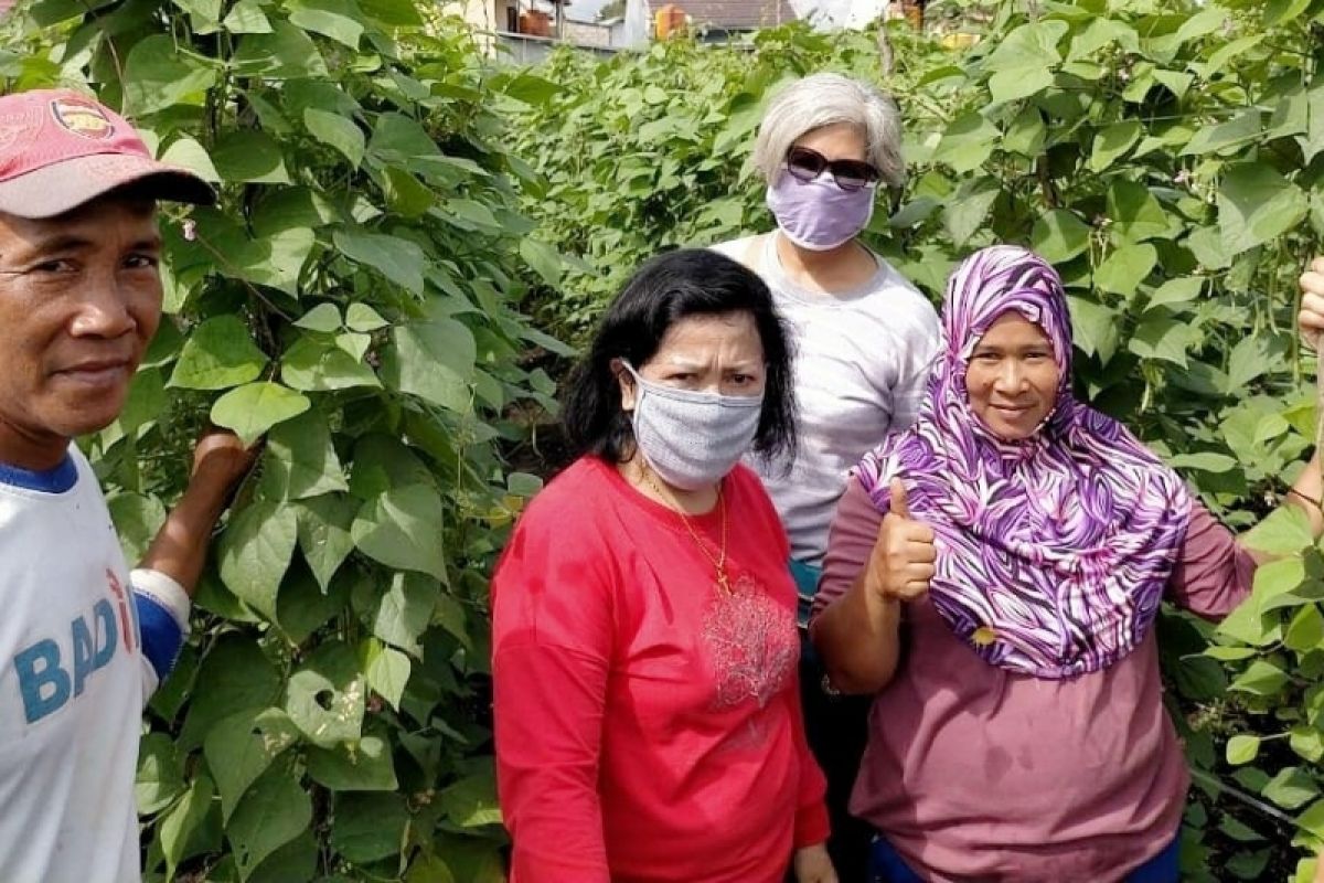 Ketua DPRD Kotim beri semangat masyarakat kembangkan pertanian