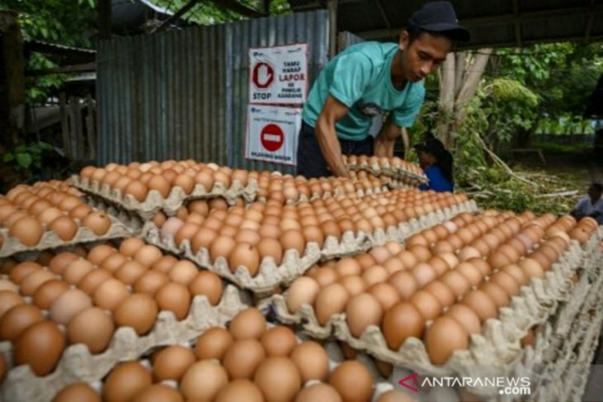 BPS Sulteng:  Palu alami inflasi, Luwuk deflasi