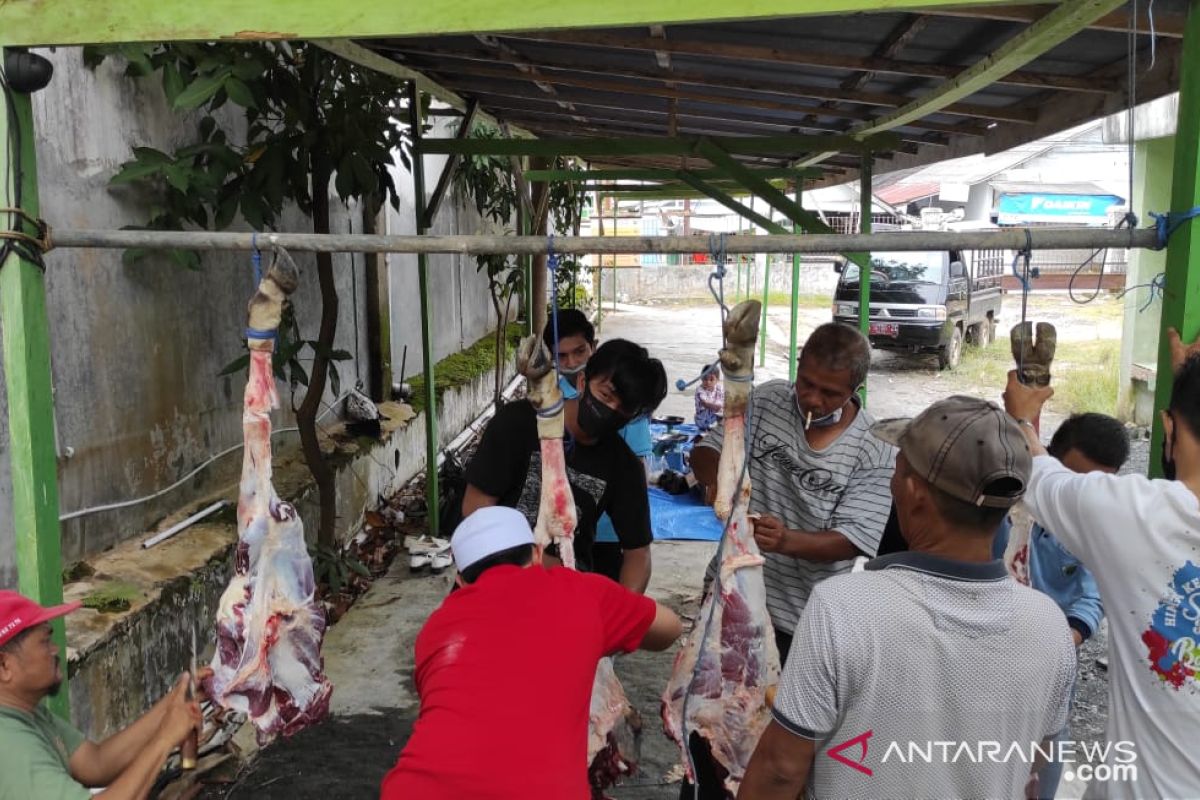 Stikes Tanah Bumbu bagikan 126 paket daging kurban