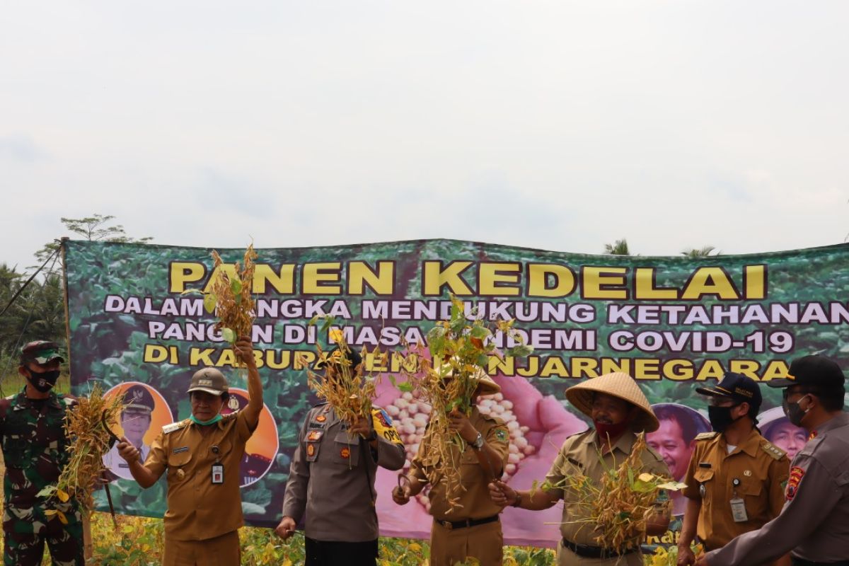 Banjarnegara dorong petani tanam kedelai saat kemarau