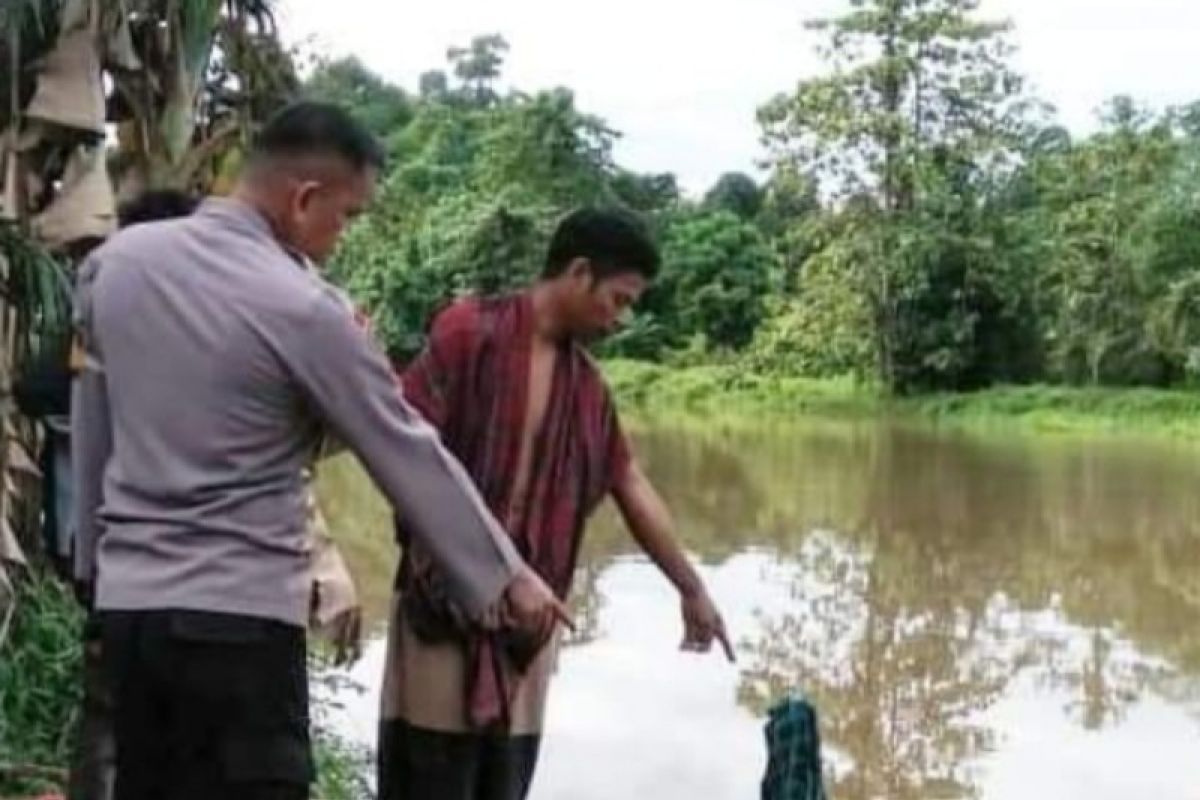 Buaya terkam seorang ibu rumah tangga saat buang hajat di sungai