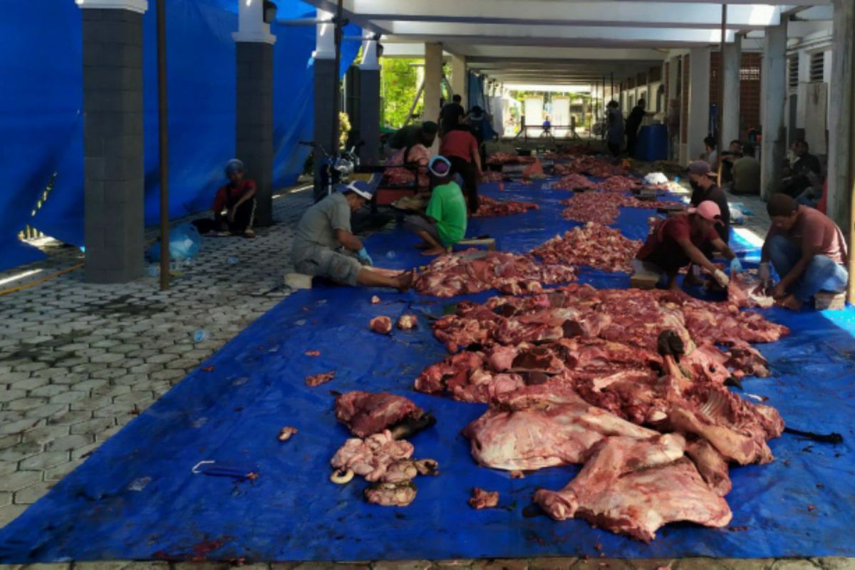 Keluarga besar PTPN IV sembelih 599 ekor hewan kurban
