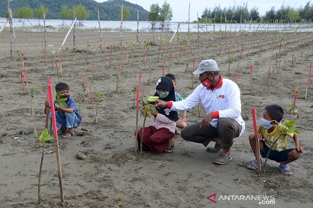 Tanam manggrove dalam rangka HUT RI