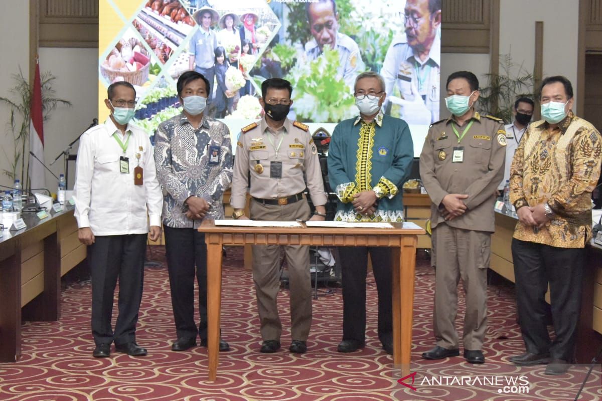 Kementan gandeng 6 universitas kembangkan diversifikasi pangan