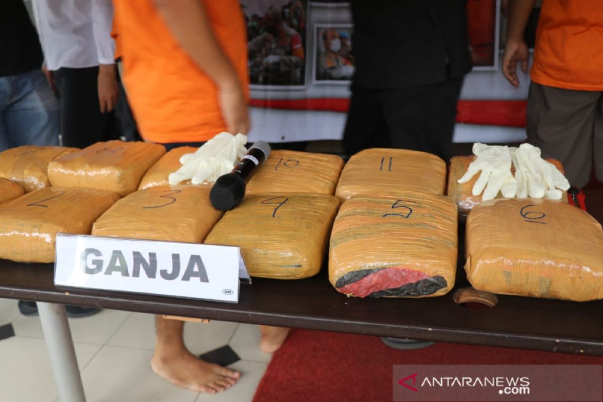 Polres Tangerang Kota sita 14,5 kilogram ganja dari tiga pengedar