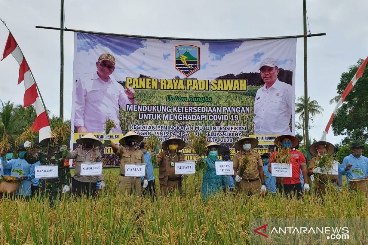 Rice harvest in Kotabaru village increases from 2,4 ton to 7,3 ton