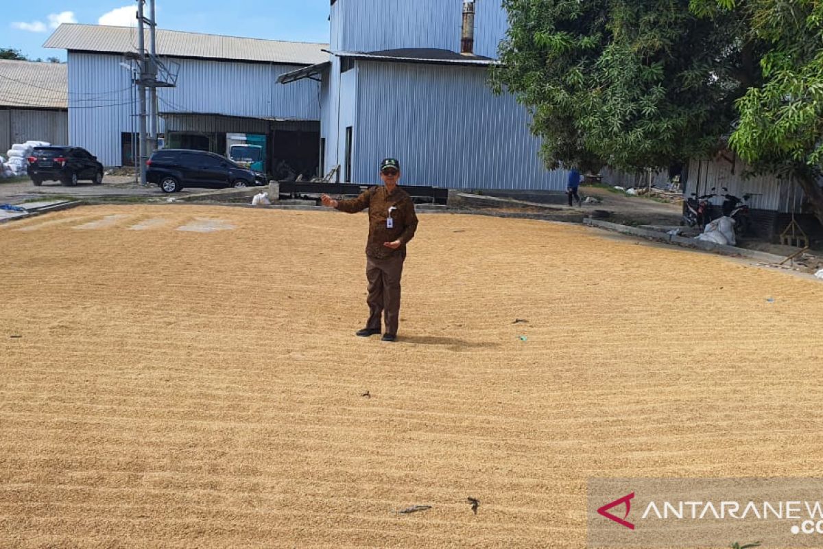 Bulog akan bangun gudang pendingin daging impor di NTB