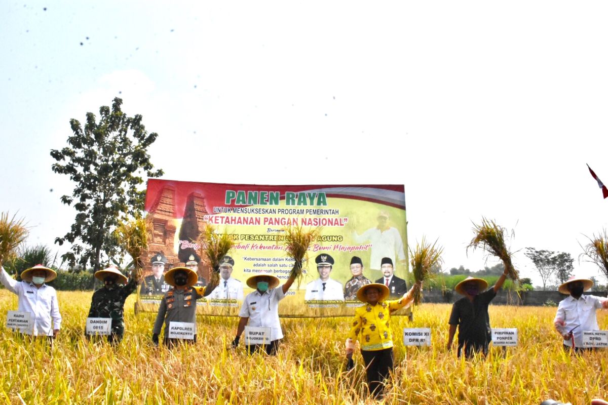 Pemkab Mojokerto gandeng  pondok pesantren wujudkan ketahanan pangan