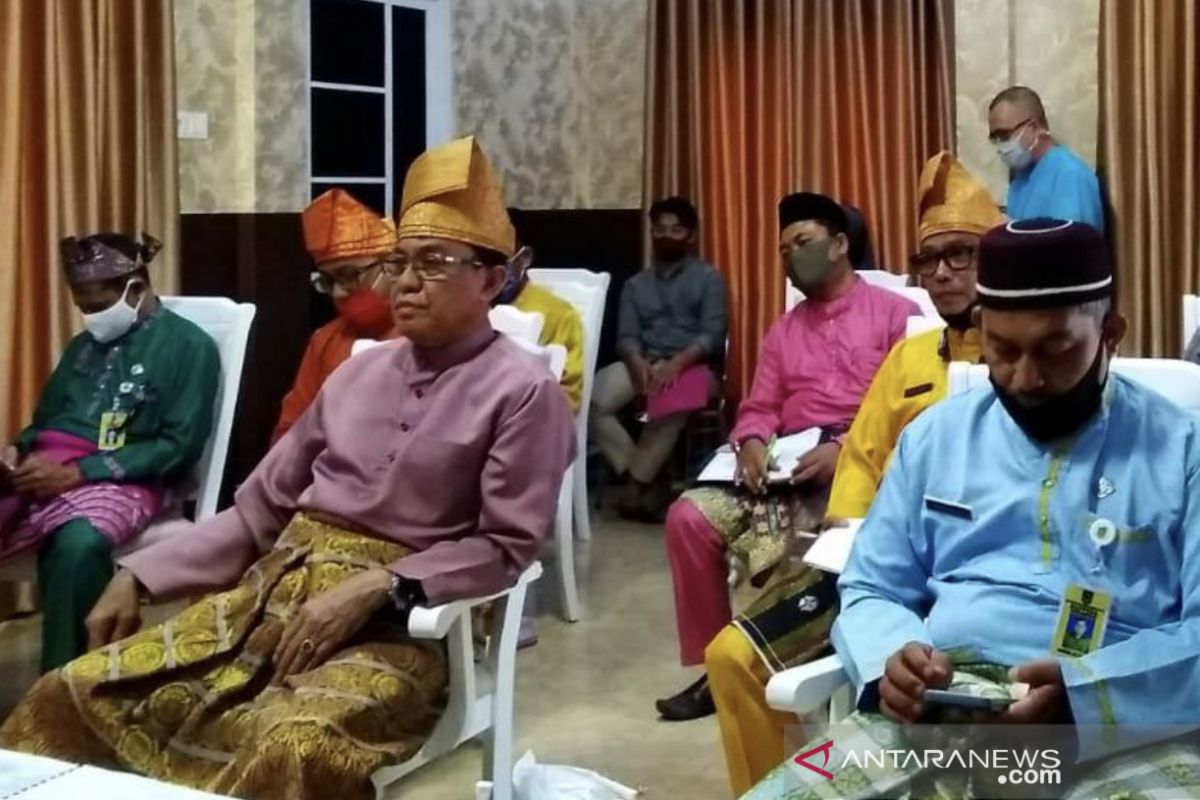 Bahas peluang pengembangan kelapa, Bupati Inhil, jadi pemateri webinar 'Sawit Watch'