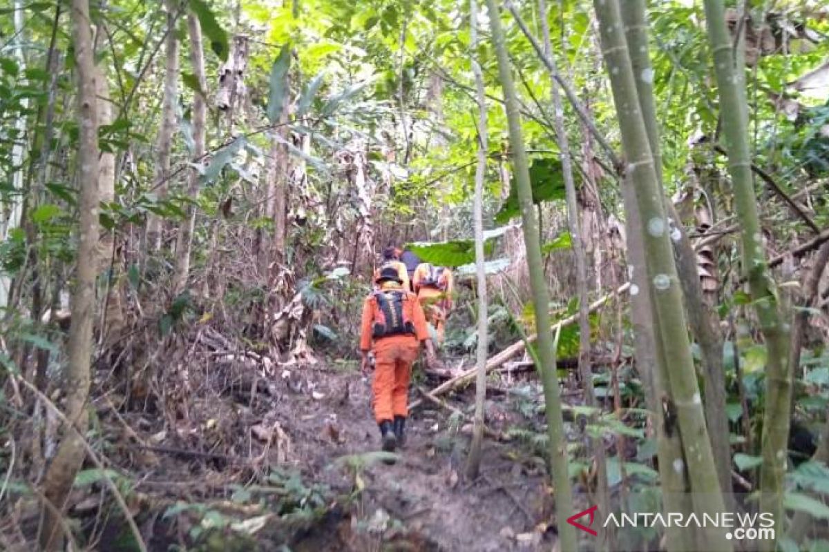 Tim SAR  hentikan sementara pencarian dua bocah hilang di hutan