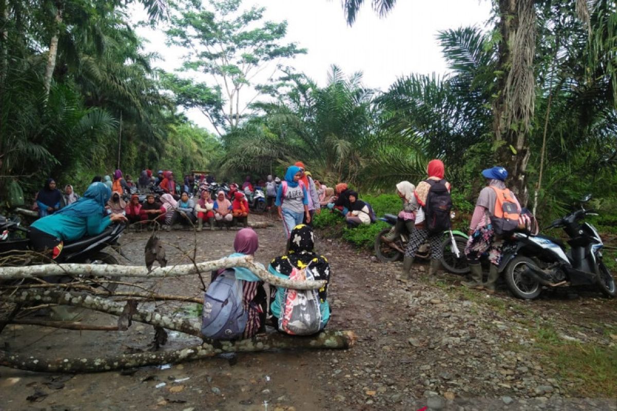 Seratusan buruh perempuan PT DDP di Mukomuko tutup jalan perusahaan