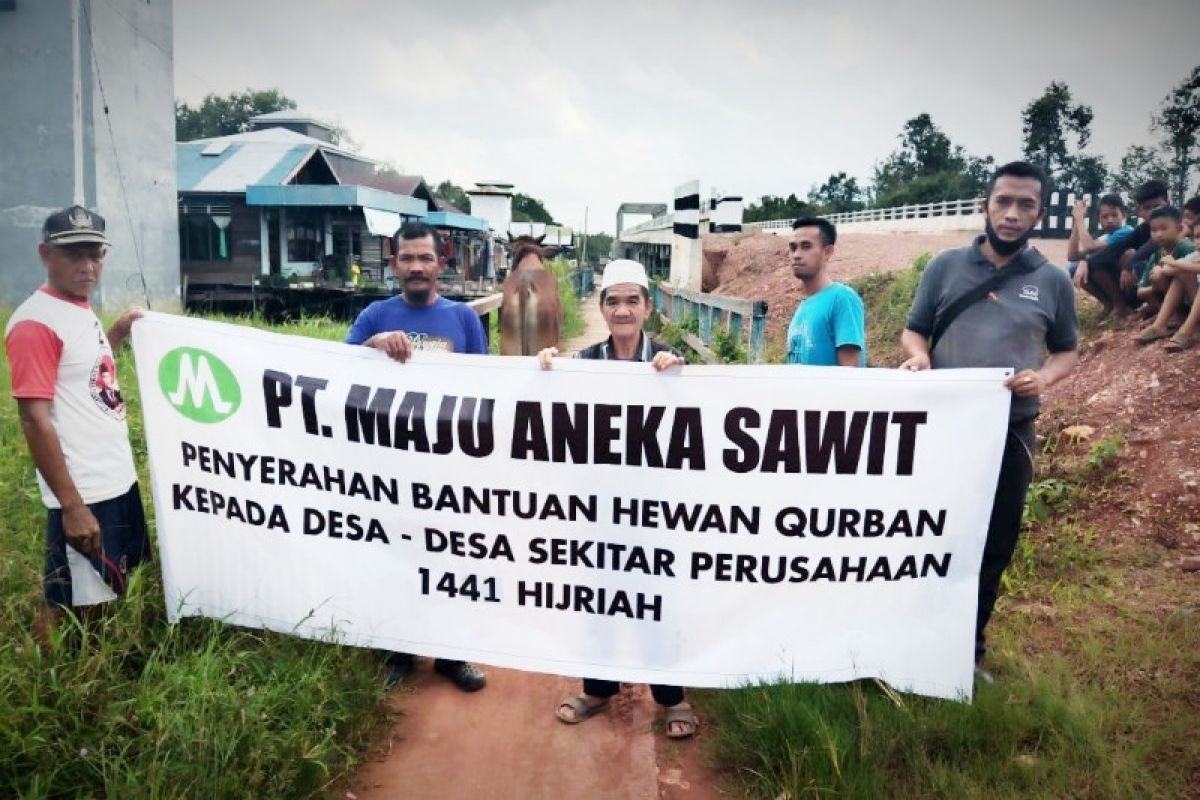 PT Maju Aneka Sawit sumbang hewan kurban untuk lima desa