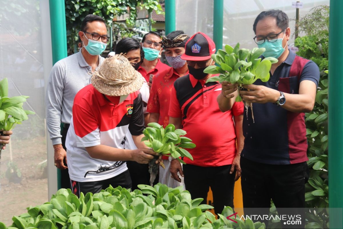 Pemkab Badung komitmen kembangkan pertanian hidroponik