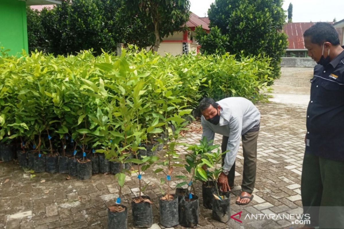 BKSDA Agam distributed 4.000 plant seeds for residents around the Maninjau Nature Reserve