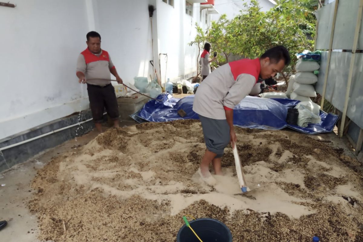 Potensi pasar pupuk organik di Indonesia masih terbuka lebar