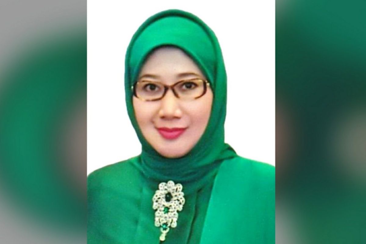 Reni Marlinawati, calon bupati di Pilkada 2020 Sukabumi tutup usia