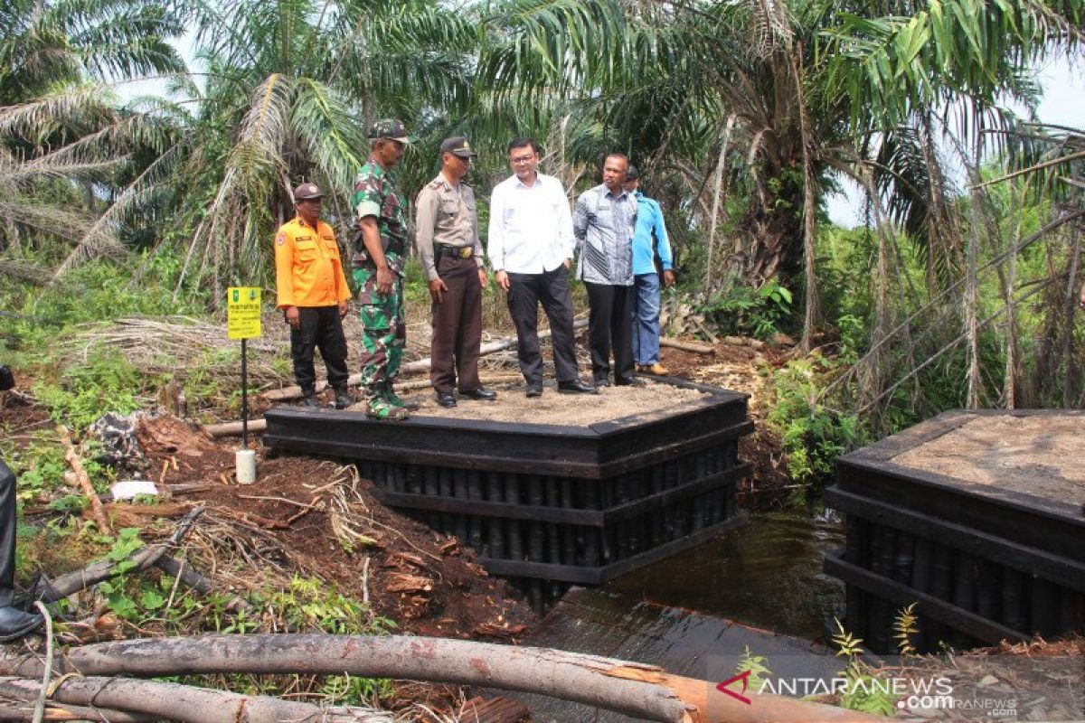 BRG: Pembangunan infrastruktur pembasahan gambut libatkan masyarakat