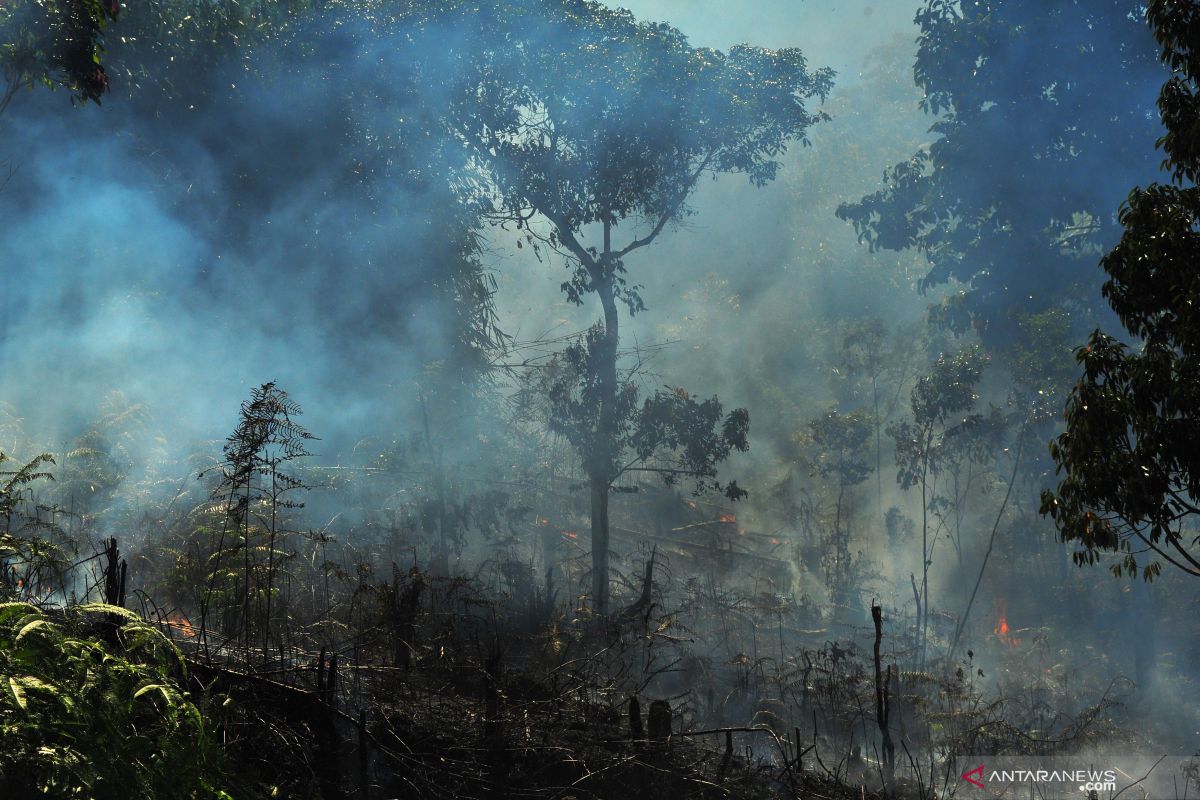 BNPB antisipasi kebakaran hutan lahan lebih dini