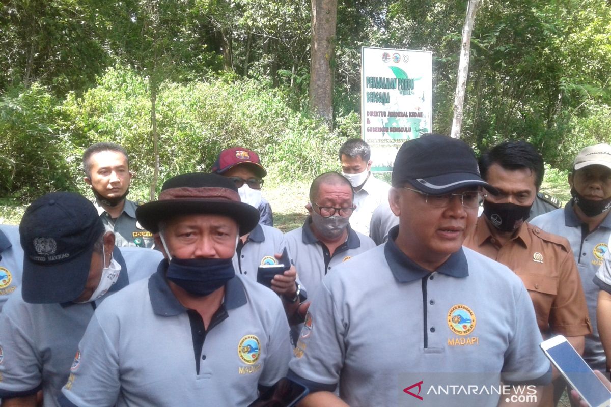 KLHK: Bengkulu harus miliki strategi kembangkan daerah berbasis hutan