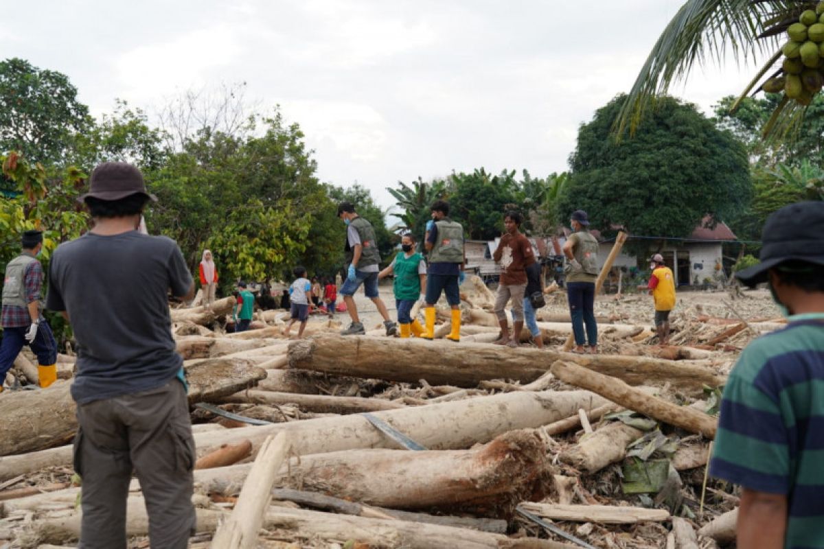 Pemprov Sulsel tanam bambu di pinggiran sungai Luwu Utara untuk cegah bencana