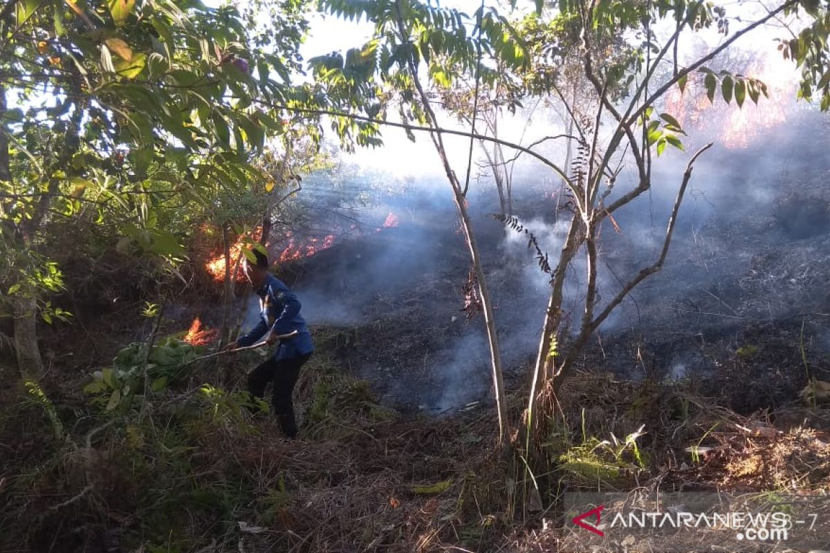 Gawat, empat hektare lahan gambut hangus terbakar