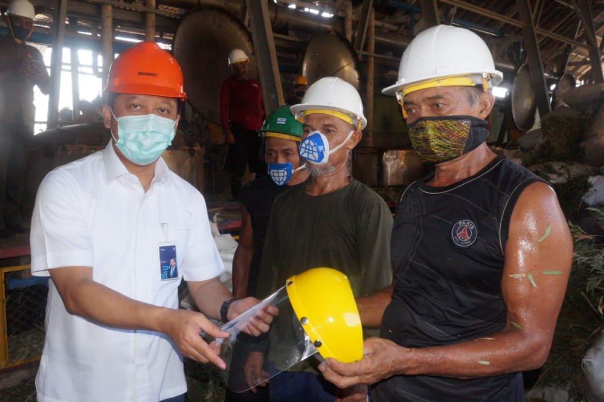 Perhutani kelola puluhan ribu hektare hutan untuk listrik