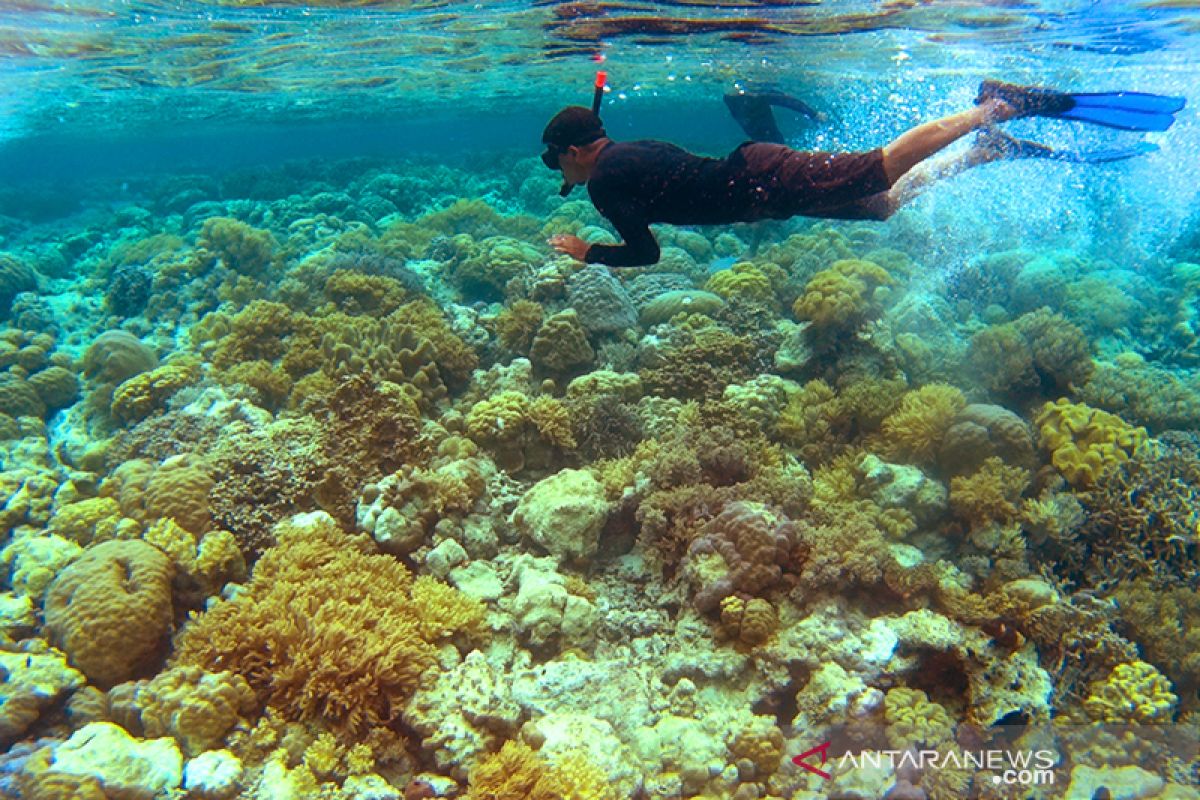 Pariwisata Wakatobi masuk nominasi Anugerah Pesona Indonesia 2020