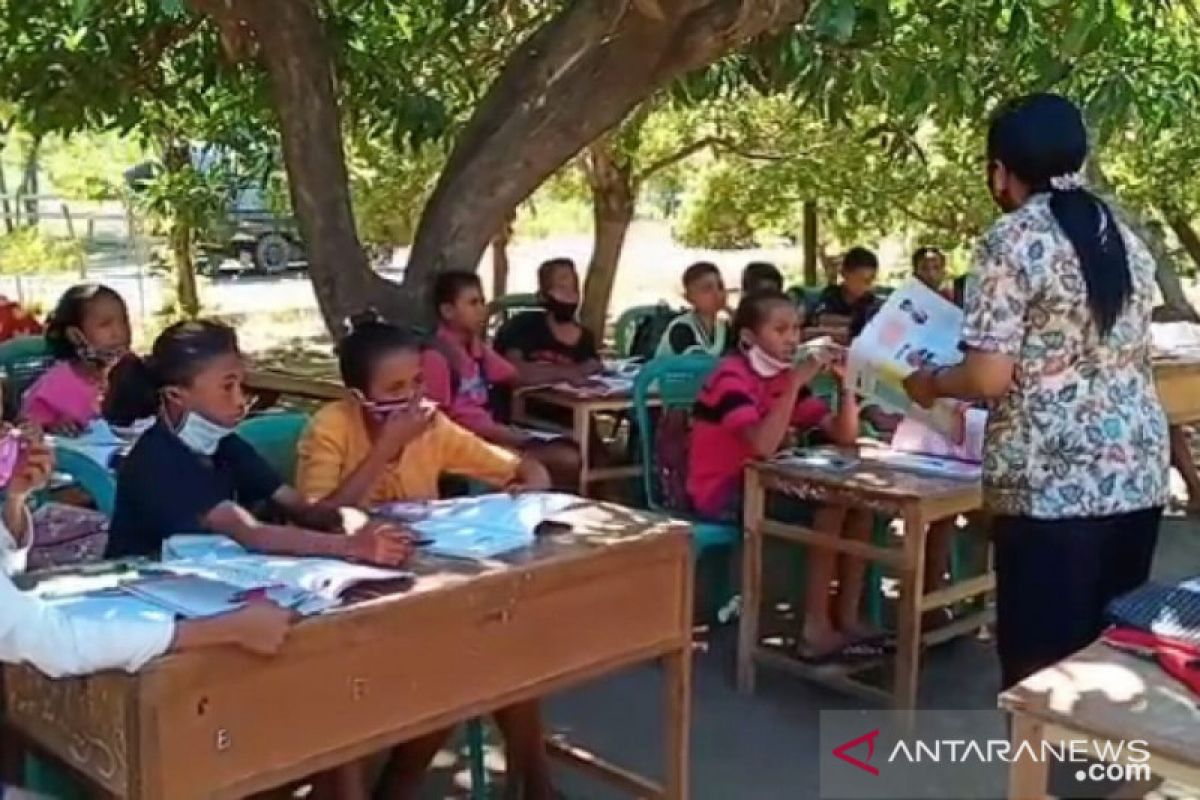 Terkendala internet, pelajar di Sikka belajar tatap muka di bawah pohon