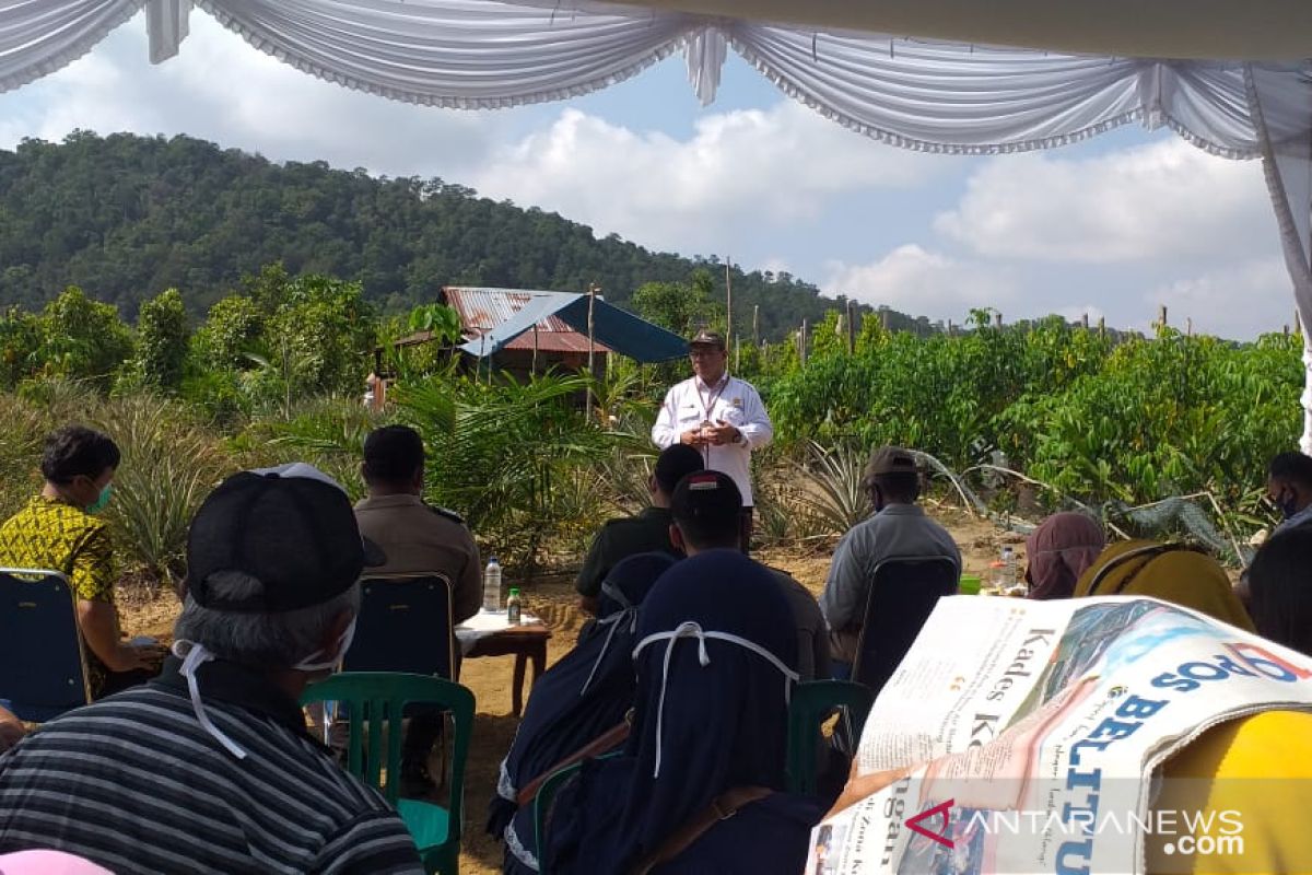 Dukung ketahanan pangan, Babel sediakan lahan sawah 30.000 ha