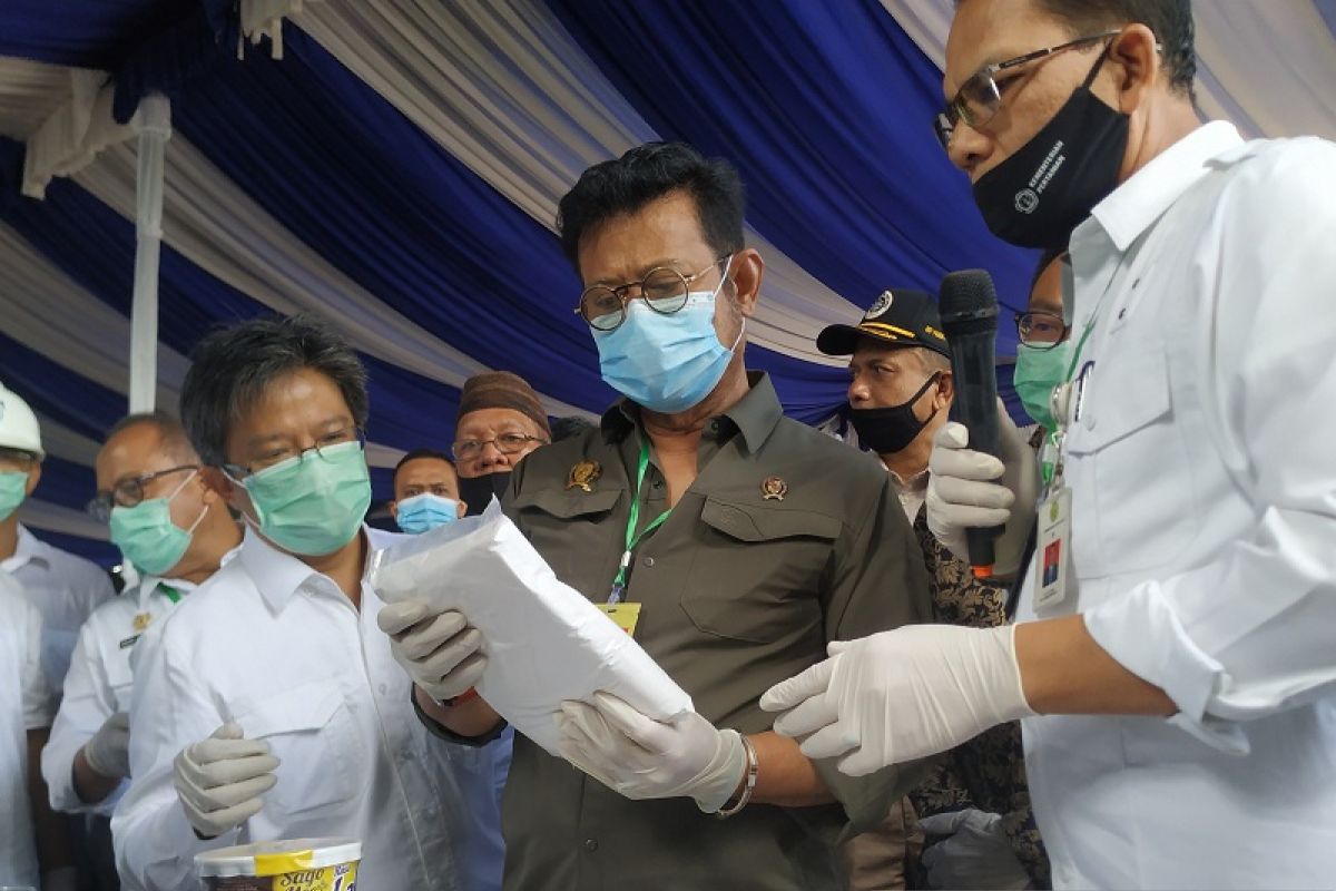 Menteri Pertanian kunjungi pabrik tapioka di Bangka