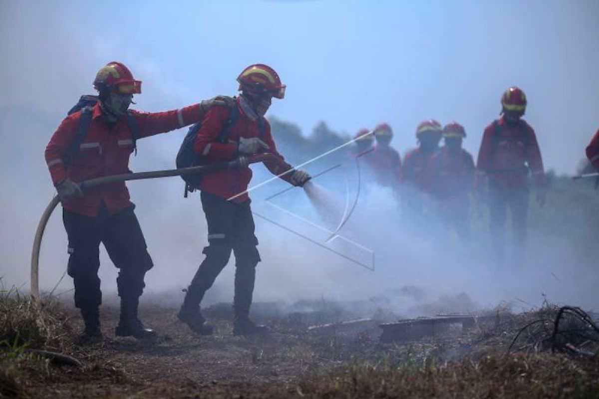Sumatera Selatan andalkan kolaborasi multipihak cegah kebakaran hutan dan lahan